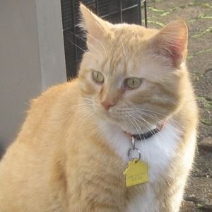 Meet your Posher, Margarete